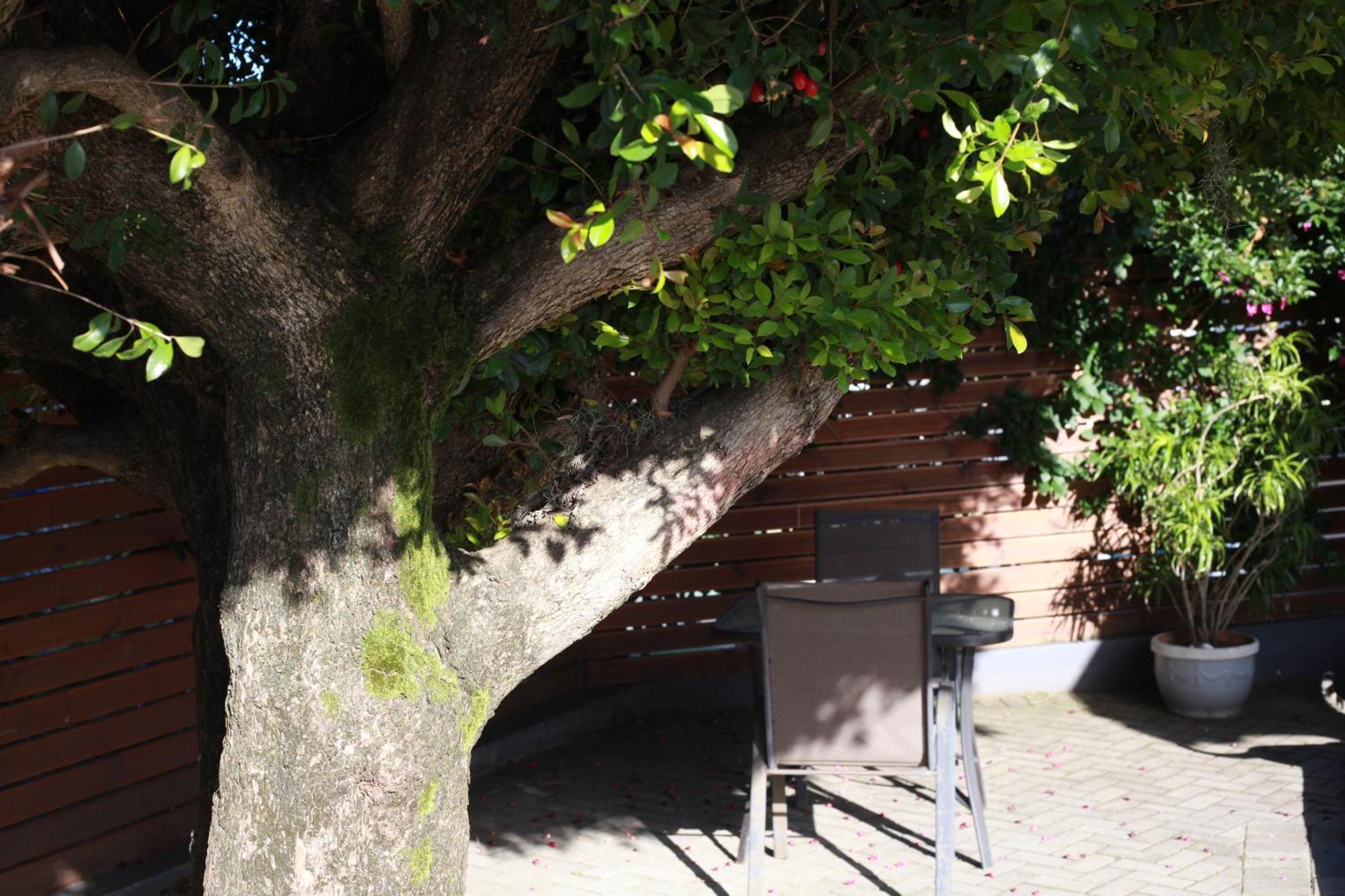 Reef View Bnb East London Exterior foto
